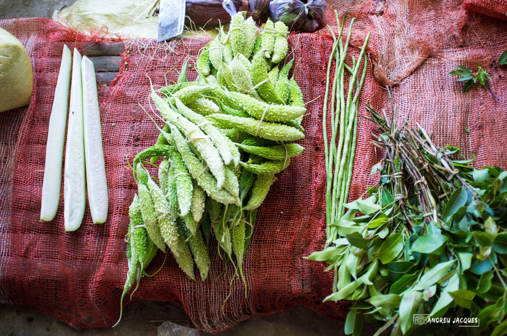 birmanie-225 (Grand).jpg